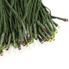 200-LED High Voltage String Light EU / US Plug