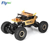 Flytec 9118 1:18 Alloy 2.4G 4WD Drive RC Car Vehicle