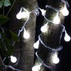 5m 40 LEDs Ball Globe Fairy String Light
