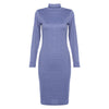 Women Slim Long Sleeve Elegant Turtleneck Jumper Dress
