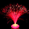 Color Changing LED Fiber Optic Lamp