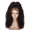 Fluffy Curly Long Lace Frontal Synthetic Wig