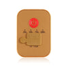 DONGZHISHENG DS - 901 Rechargeable LED Camping Light