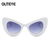 Big Large Cat Eye Butterfly Women Sunglasses Oversized Fashion Plastic Frame DW