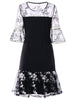 Mesh Panel Flounce Embroidery Dress