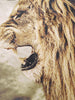 Crew Neck Roar Lion 3D T-shirt
