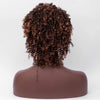 Short Side Bang Colormix Kinky Curly Synthetic Wig