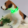 YWXLight LED USB Rechargeable Luminous Dog Collar