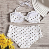Scallop Trim Printed Bikini Set