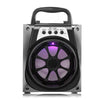 MS - 133BT Bluetooth Portable Speaker