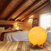 3D Printing Earth Lamp Decorative Nightlight