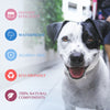 Waterproof Flea Tick Collar for Dog