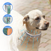 Waterproof Flea Tick Collar for Dog