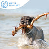 Waterproof Flea Tick Collar for Dog