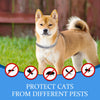 Waterproof Flea Tick Collar for Dog
