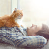 Flea Tick Collar for Cat