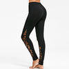 Sheer Lace Insert Fitted Pants