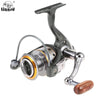 Lizard 11BB 5.2:1 Spinning Fishing Reel