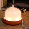 Benice A790 Ultrasonic Aroma Diffuser Air Humidifier
