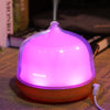 Benice A790 Ultrasonic Aroma Diffuser Air Humidifier