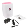 Home Dehumidifier Portable Electric Mini Drying Machine