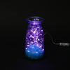 LH - BT - 50RGB 16 feet 50 LEDs App Control Multi-function Copper Music String Light