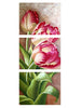 Unframed Flower Print Canvas Art Paintings