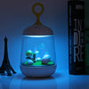 Micro Landscape Music Box LED Night Light