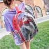 Portable Outdoor Capsule Ventilated Backpack with Visual Window Pets Bag