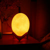 3D Printing Dinosaur Egg Light Pat Night Lamp 3 Colors for Bedroom