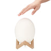 3D Printing Dinosaur Egg Light Pat Night Lamp 3 Colors for Bedroom