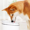 Creative Simple Pet Water Dispenser from Xiaomi Youpin