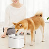 Creative Simple Pet Water Dispenser from Xiaomi Youpin