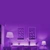 Yeelight YLDD04YL Wireless WiFi APP Control 2m LED Smart Strip Light for Decoration 220V ( Xiaomi Ecosystem Product )