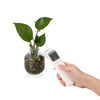 CK - T 1803 Non-contact Handheld Infrared Digital Thermometer with LCD Display