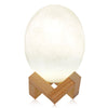 3D Printing Dinosaur Egg Light Patting Night Lamp 3 Colors for Bedroom