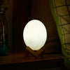 3D Printing Dinosaur Egg Light Patting Night Lamp 3 Colors for Bedroom