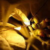 Utorch USB String Light 10m 100-LED Copper Wire for Interior Decoration
