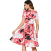 Floral Printed Flared Dress