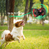 Paierge PEG - 81 2.4GHz Wireless Bounce Car for Kids