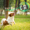 Paierge PEG - 81 2.4GHz Wireless Bounce Car for Kids