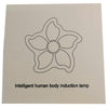 LED Intelligent Infrared Human Body Induction Smart Night Light