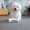 Wickedbone Smart Pet Emotional Interaction Bone Toy