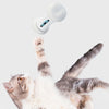Wickedbone Smart Pet Emotional Interaction Bone Toy