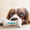 Wickedbone Smart Pet Emotional Interaction Bone Toy
