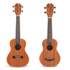 TOM TUC - 200B Acoustic Concert Soprano Ukulele with Carrying Bag