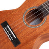 TOM TUC - 200SR 23 inch C-type Classical Head Acoustic Ukulele Mahogany Wood with Carrying Bag