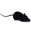 Creative Two-way Remote Mouse Toy