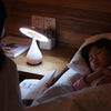 Multifunctional Energy Saving Timing Air Purifying Lamp