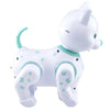 Electric Universal Machine Cat Music Lighting Story Children's Toy